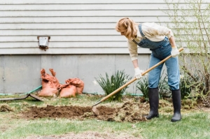 Maximize Your Garden's Potential with Waste Services Maximize Your Garden's Potential with Waste Services
